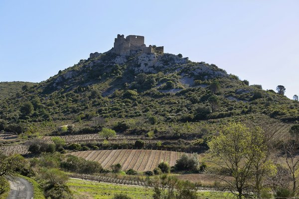 Peut-on trouver une maison en Virginie avec des excursions historiques de la Guerre Civile Américaine?